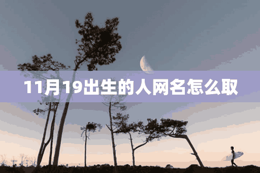 11月19出生的人网名怎么取